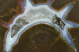 Colorful Polished Thunderegg Half - Nevada #337769-1